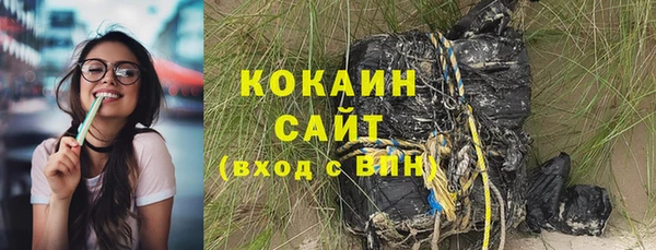 дживик Надым