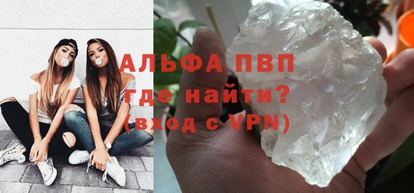 стафф Михайловск