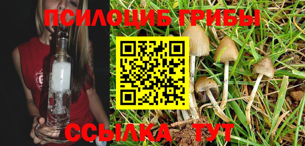 Псилоцибиновые грибы MAGIC MUSHROOMS  Галлюциногенные грибы прущие грибы  Десногорск 