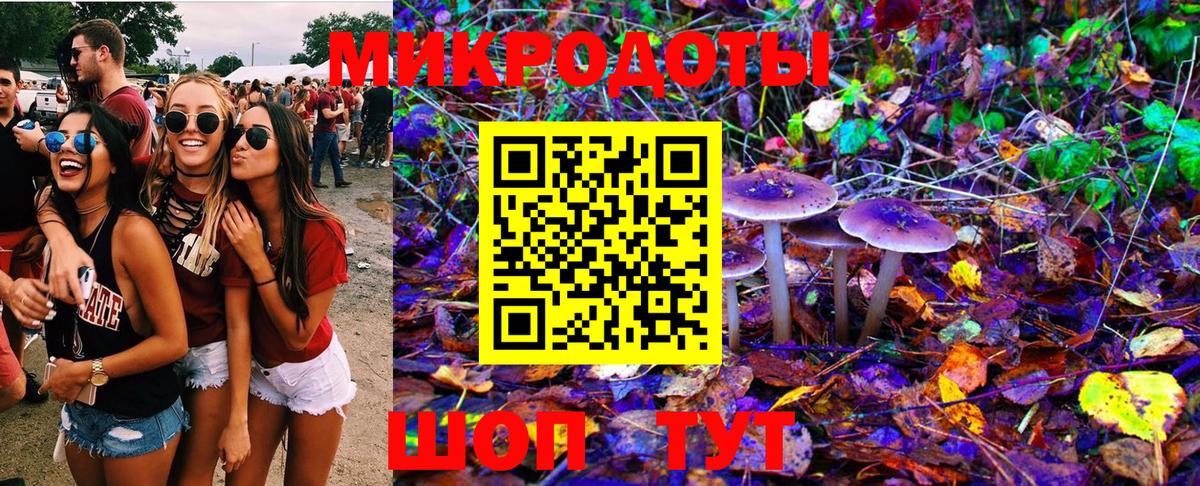 Псилоцибиновые грибы GOLDEN TEACHER Десногорск